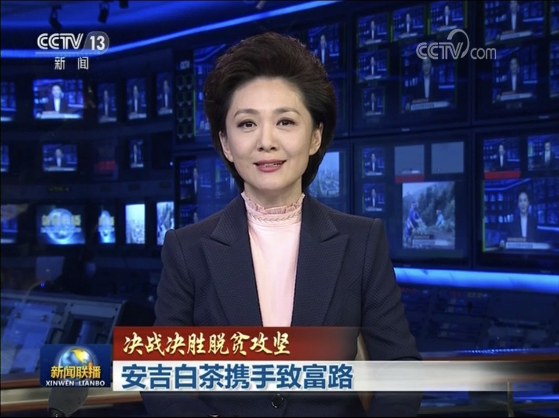 海博论坛集团产业帮扶举措亮相新闻联播头条