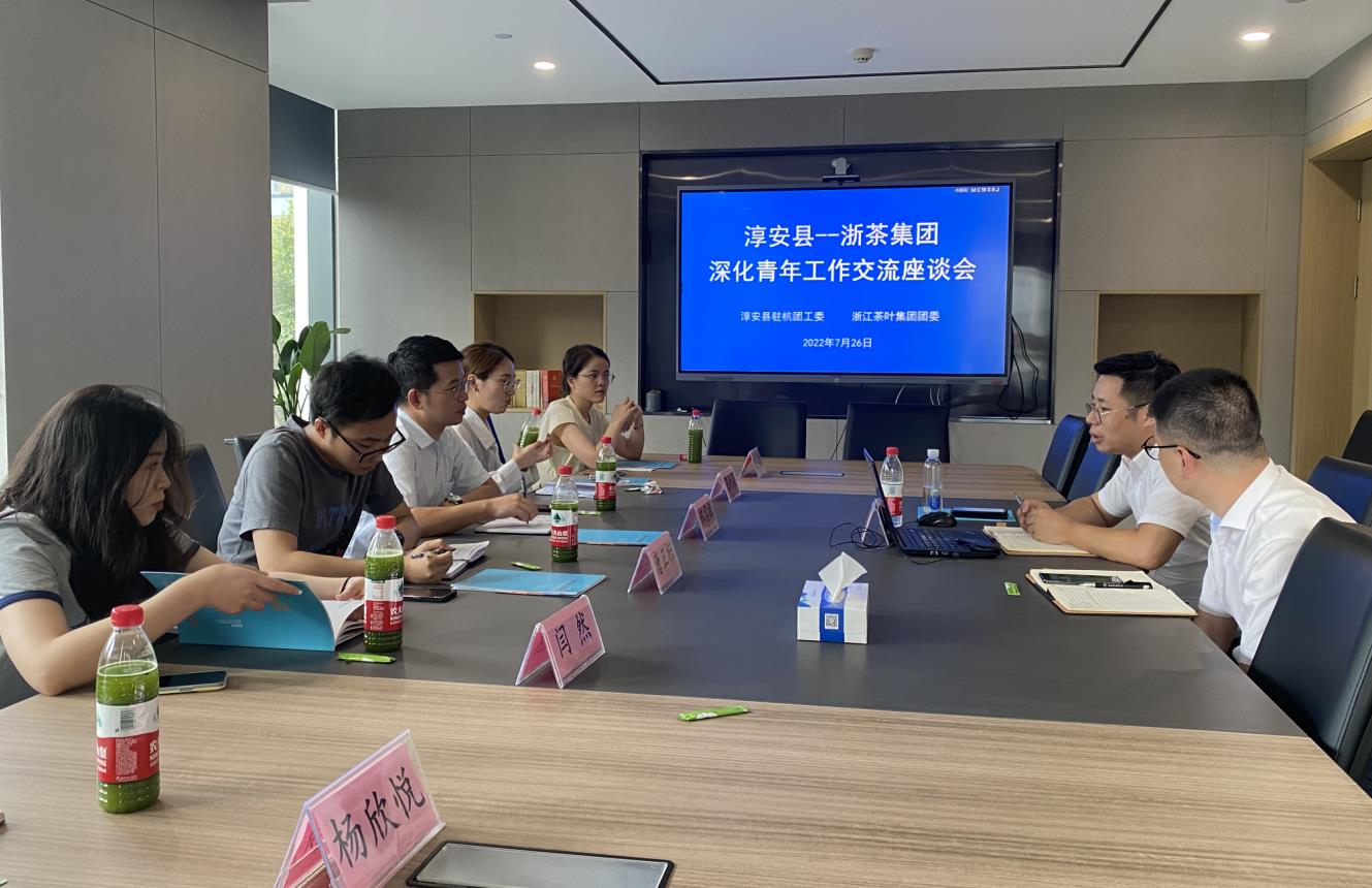 海博论坛集团团委与淳安县驻杭团工委开展联建交流